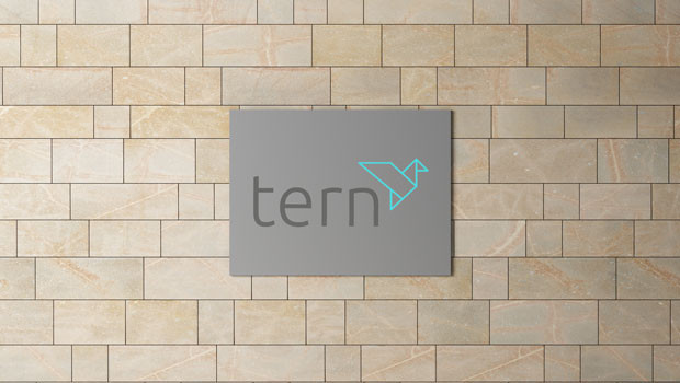 dl tern plc objectif technologie investissement investissement investisseur portefeuille internet des objets iot numérique financier logo