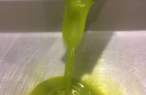 ep archivo   aceite de oliva en almazara