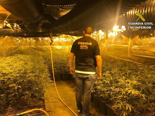 Plantación ilegal de marihuana en Alicante | GUARDIA CIVIL ep plantacion ilegalmarihuanaalicante