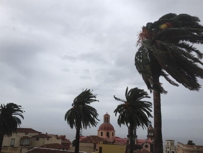 Temporal de viento | CEDIDA ep temporalviento