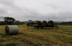 ep trabajos en el campo
