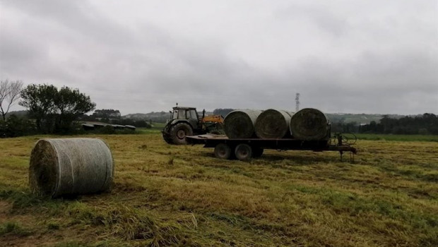 ep trabajos en el campo