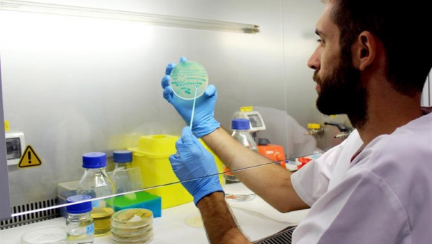 ep un investigador sostiene un cultivo de listeria