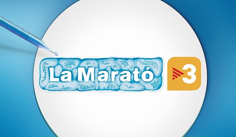 marato ok marato ok