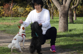 perrosgatosherbolarioanimalesprimavera 