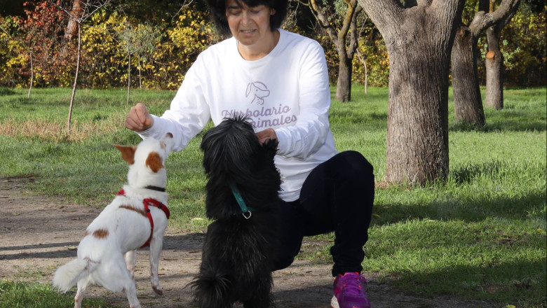 perrosgatosherbolarioanimalesprimavera 
