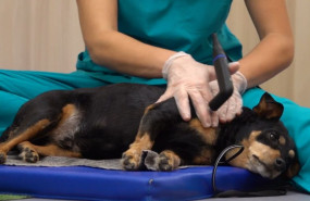 proyecto nuevo 2 proyecto nuevo 2