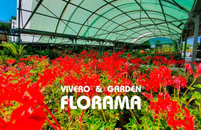 vivieros florama