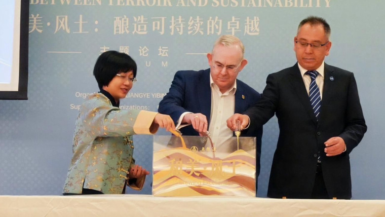 whatsapp image 2025 10 15 at 163848