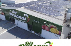 1571300552 cedecprocam 1571300552 cedecprocam