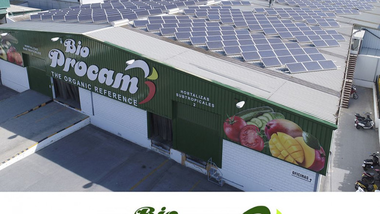 1571300552 cedecprocam