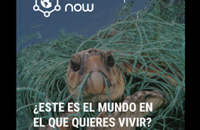 1572344001 tarjetas save the planet now