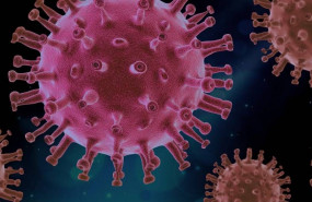 1592466050 980518 white 5eeb17f66f3d6 1592466050 980518 white 5eeb17f66f3d6