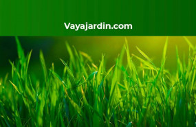 1596201923 jardin c 1596201923 jardin c