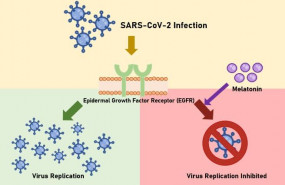 1601886341 old figure 1