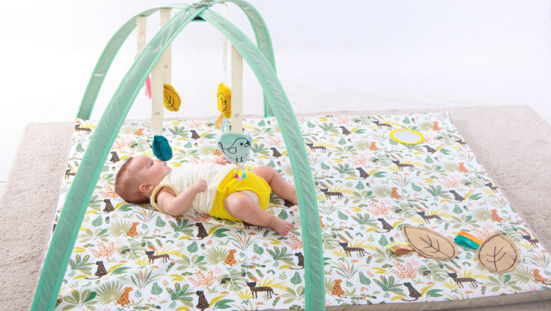 arco vinilo 5 20230315192538 