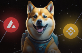 dogeverse dogeverse