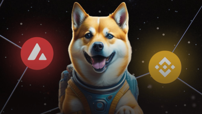 dogeverse dogeverse