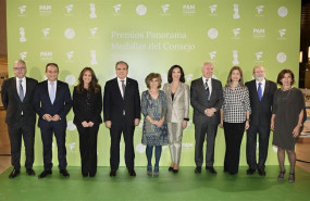 ep acto de entrega de los premios panorama del consejo general de colegios oficiales de
