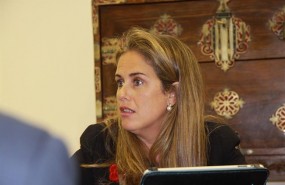 ep ines landin