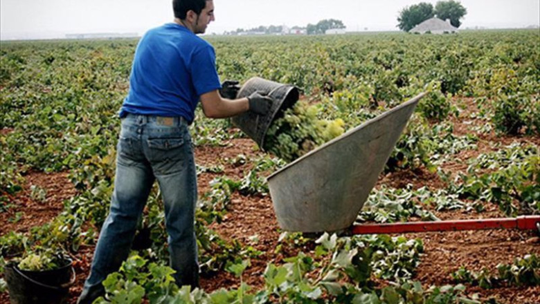 ep joven agricultor en su campo ep joven agricultor en su campo