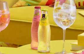 ep tonicas de schweppes