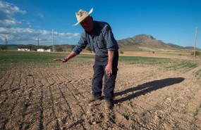ep un agricultor muestra la tierra seca a 20 de abril de 2023 en murcia ep un agricultor muestra la tierra seca a 20 de abril de 2023 en murcia