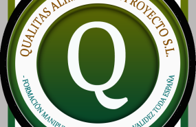 logo qualitas 1 logo qualitas 1