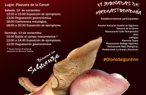 xviii jornadas micologicas definitivo 