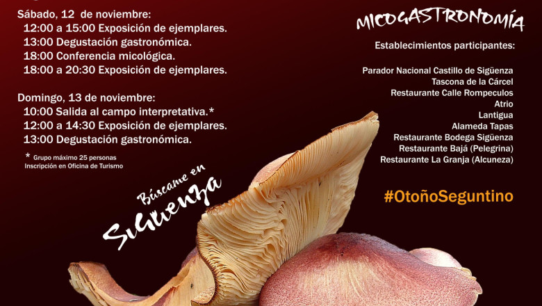 xviii jornadas micologicas definitivo 