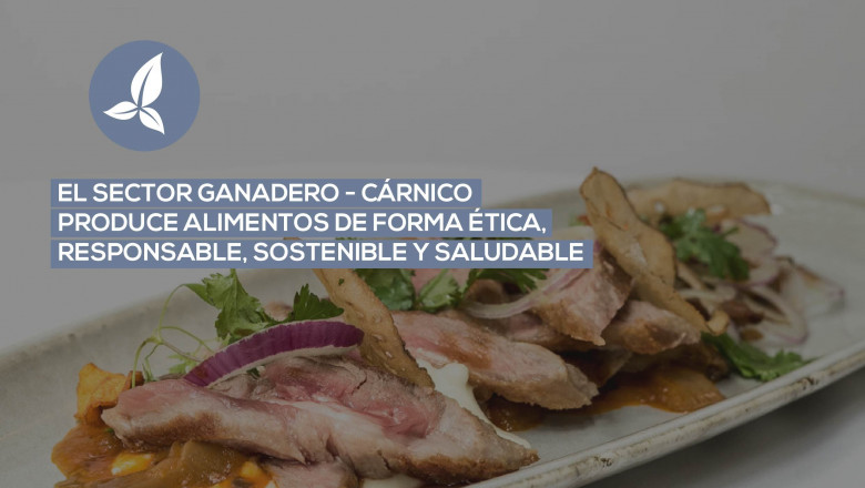 1589278036 sector 1063