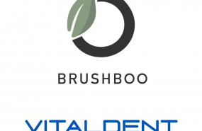 1627492112 logo vitaldent brushboo