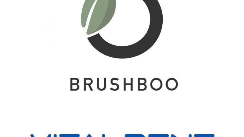 1627492112 logo vitaldent brushboo