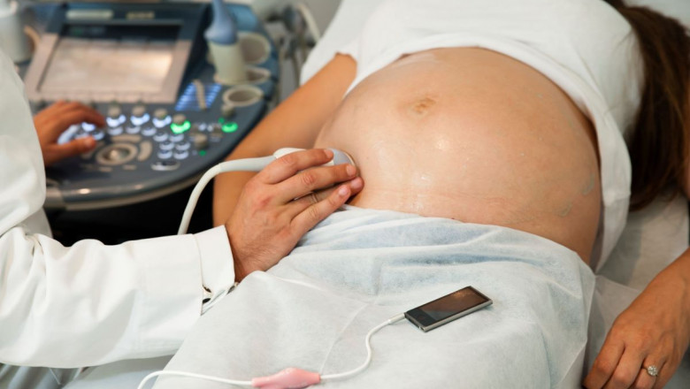 1637513840 institutmarques ecografia petit