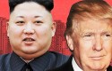 trump, corea trump, corea