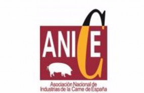 ep archivo - logotipo de anice