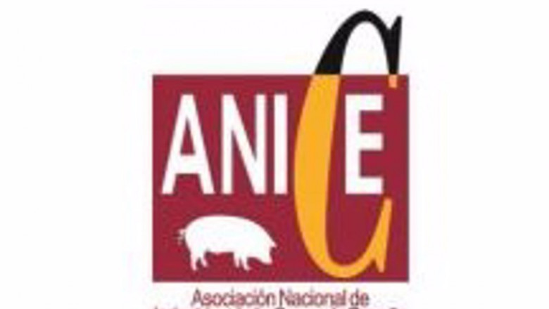 ep archivo - logotipo de anice ep archivo - logotipo de anice