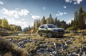 ep archivo   subaru forrester 2022