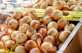 ep archivo   un puesto de cebollas