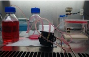 ep biorreactormonitorizar tejidoscartilago humano3d