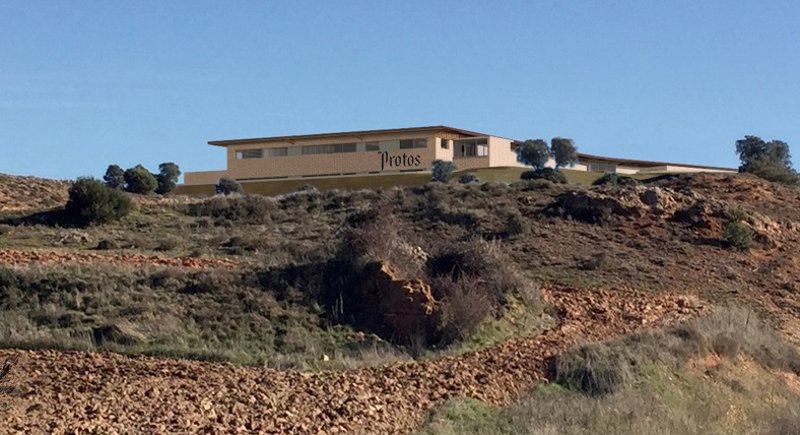 ep bodega protos