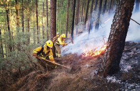 ep efectivos de la brif de puntagorda intervienen en las labores de extincion del incendio de gran