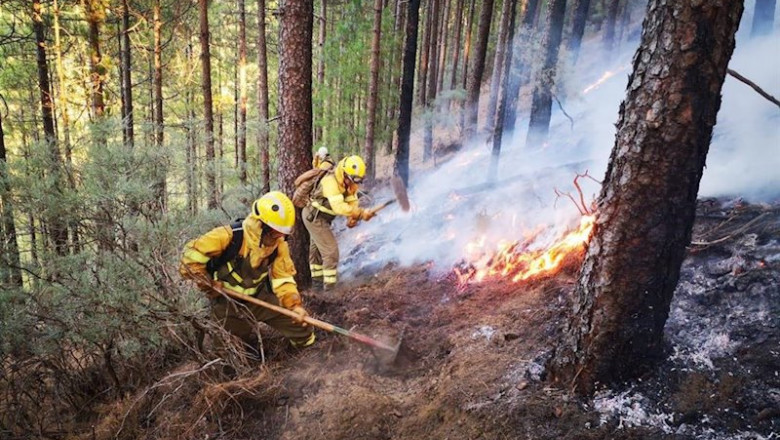 Efectivos de la BRIF de Puntagorda intervienen en las labores de extinción del incendio de Gran Canaria | ASOCIACIÓN DE TRABAJADORES DE LAS BRIF - Archivo ep efectivos de la brif de puntagorda intervienen en las labores de extincion del incendio de gran
