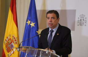 ep el ministro de agricultura pesca y alimentacion luis planas comparece en rueda de prensa antes de