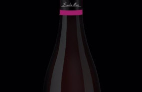 ep el nuevo vino de emilio moro elaborado con la variedad de uva mencia 