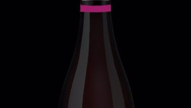 ep el nuevo vino de emilio moro elaborado con la variedad de uva mencia 