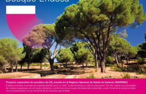 ep endesa restaura 40000 arboles en su iniciativa bosque endesa