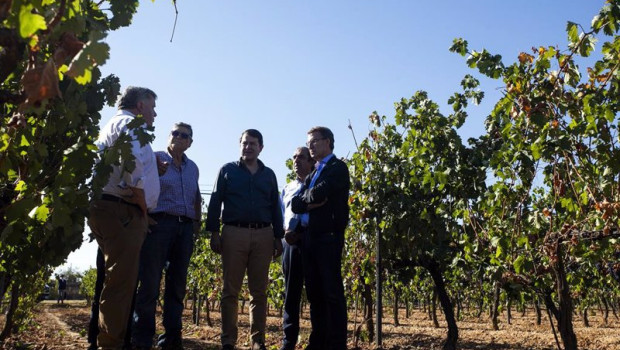 ep i d el presidente de la do ribera del duero enrique pascual el dueno de la bodega el presidente