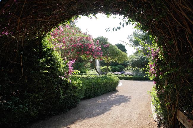 Jardines de Marivent en Palma | CAIB ep jardinesmariventpalma