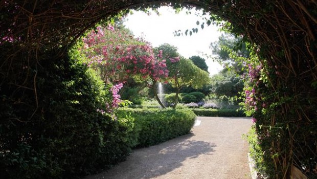 ep jardinesmariventpalma